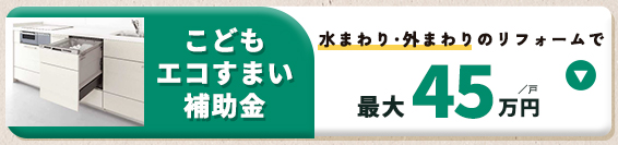 こどもエコすまい補助金