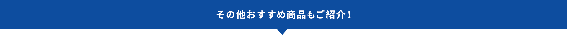その他おすすめ商品もご紹介！